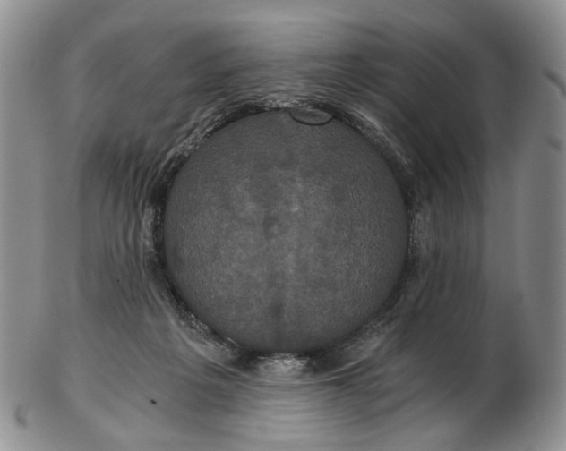 X0000102800217200809081119