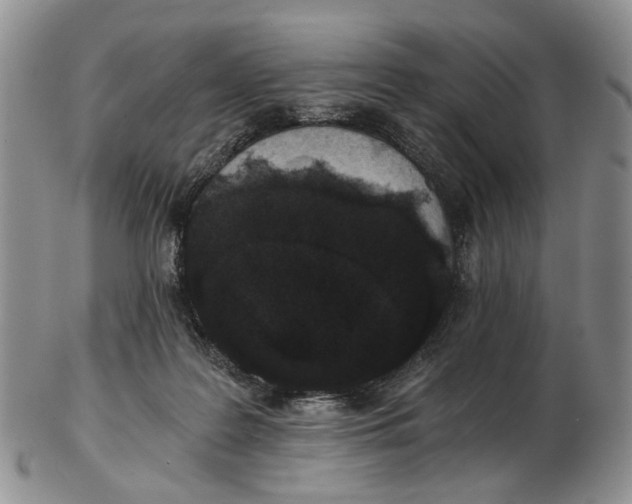 X0000102800219200809081119