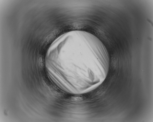 X0000102800220200809081119