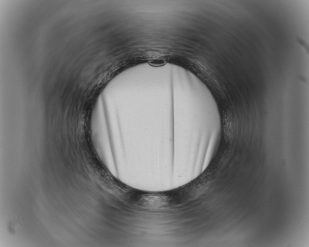 X0000102800221200809081119