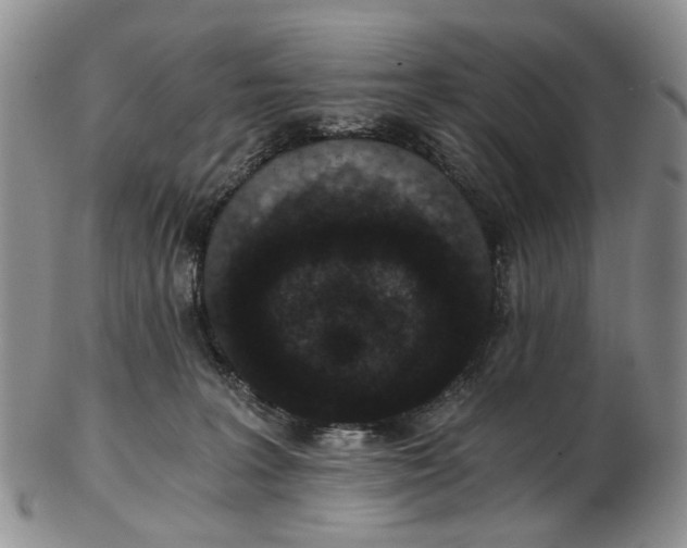 X0000102800227200809081119