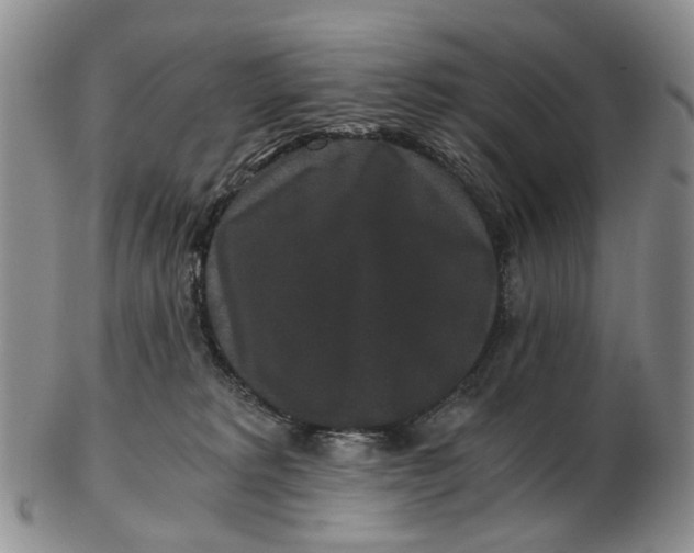 X0000102800229200809081119