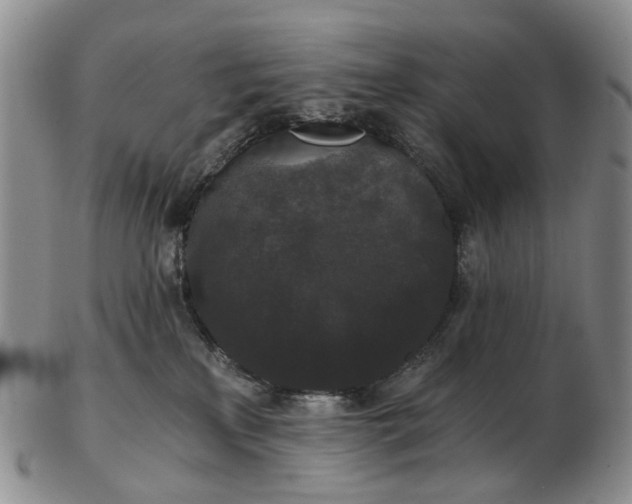 X0000102800233200809081119