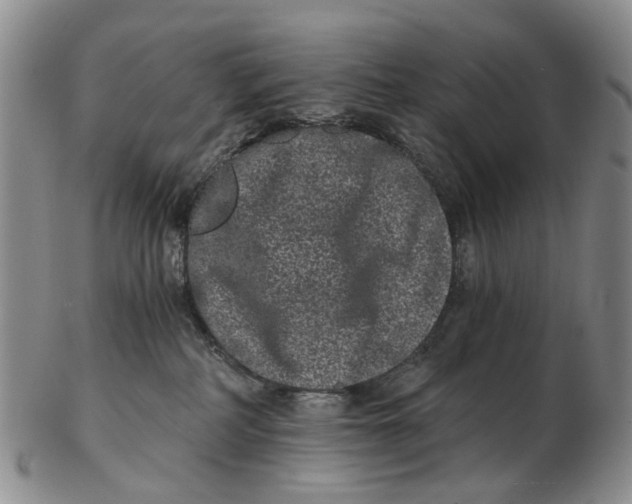 X0000102800234200809081119