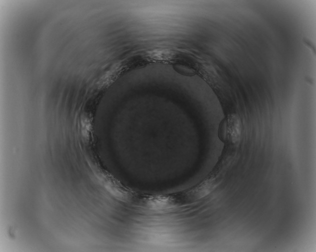 X0000102800235200809081119