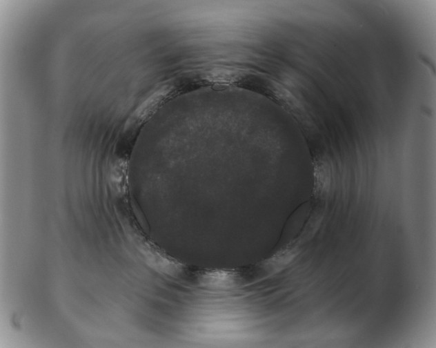 X0000102800237200809081119