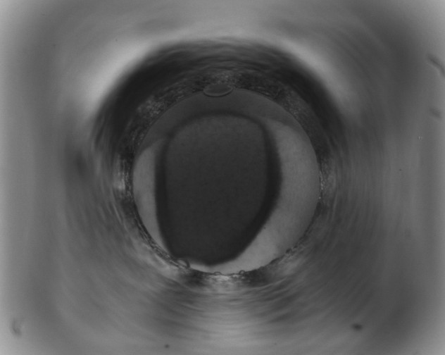 X0000102800239200809081119