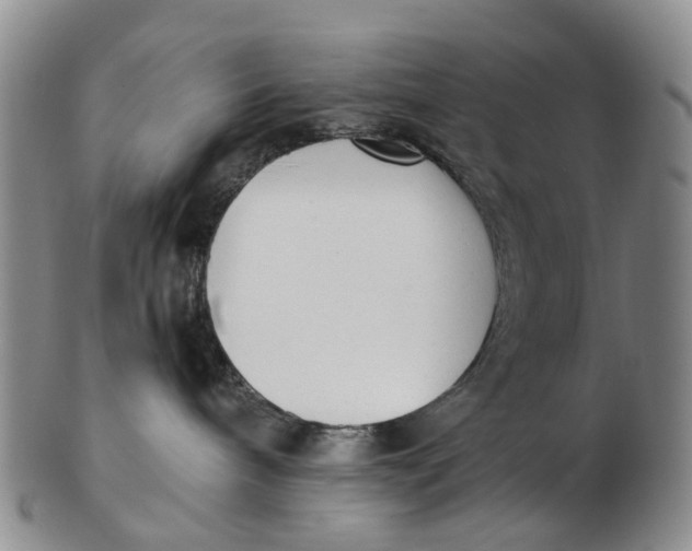 X0000102800240200809081119