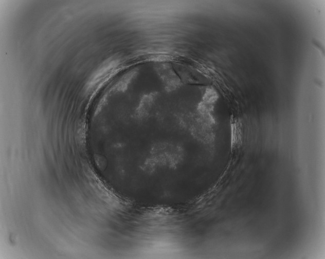 X0000102800243200809081118