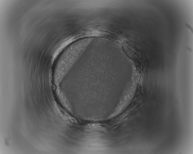 X0000102800244200809081118