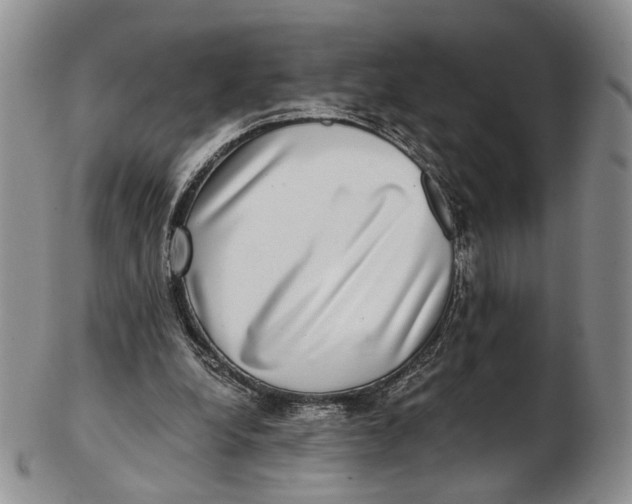 X0000102800248200809081118