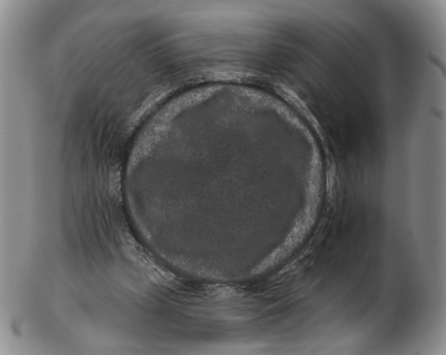 X0000102800249200809081118