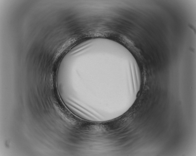 X0000102800250200809081118