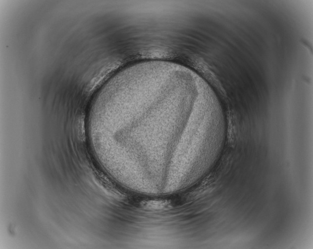 X0000102800251200809081118