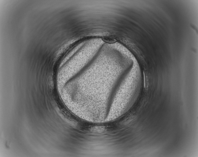 X0000102800252200809081118