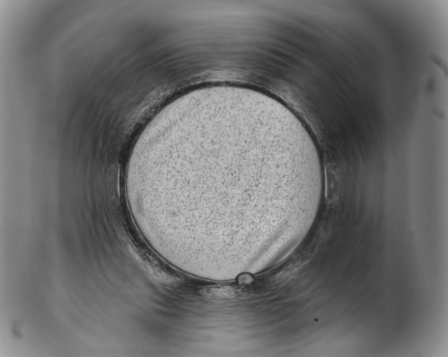 X0000102800253200809081118