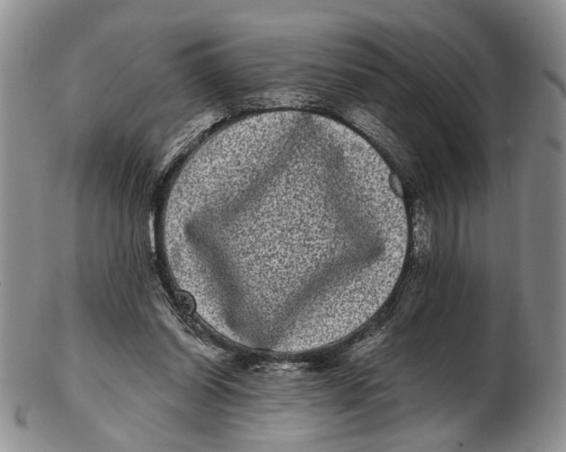 X0000102800254200809081118