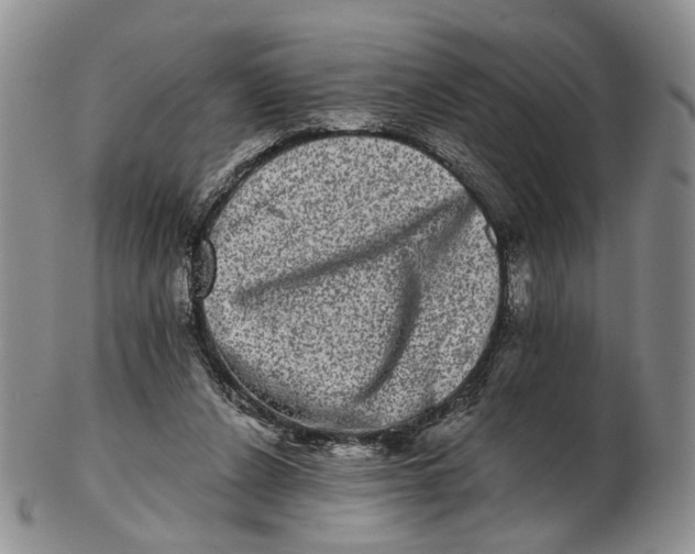 X0000102800256200809081118