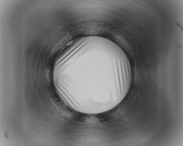 X0000102800258200809081118