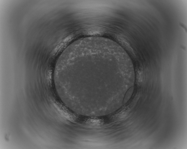 X0000102800260200809081118