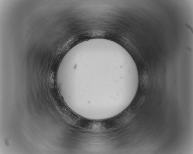 X0000102800264200809081118