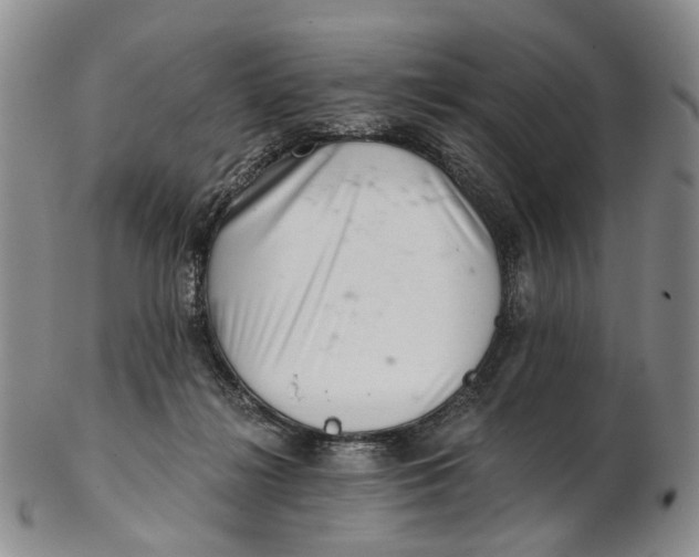 X0000102800268200809081118