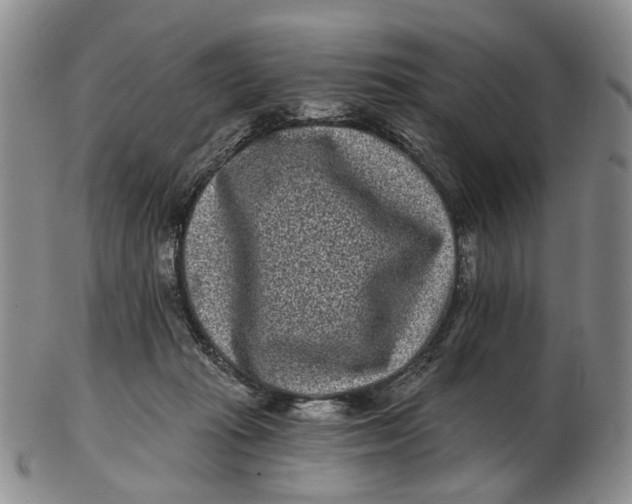 X0000102800269200809081118