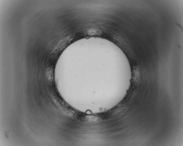 X0000102800272200809081118