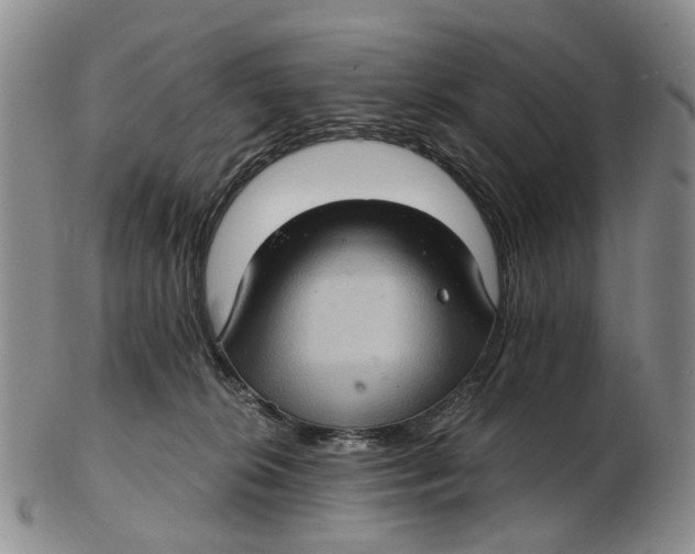 X0000102800276200809081119