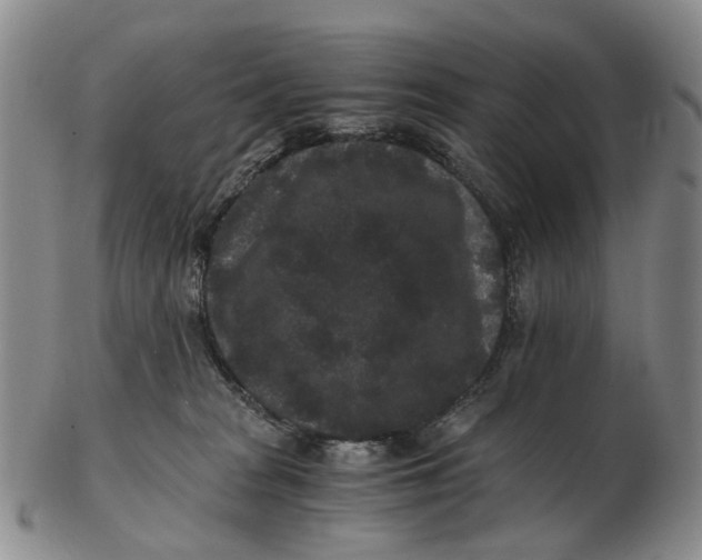 X0000102800277200809081119