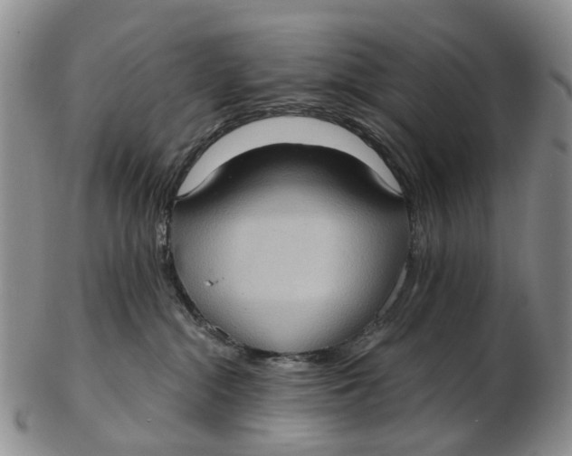 X0000102800284200809081119