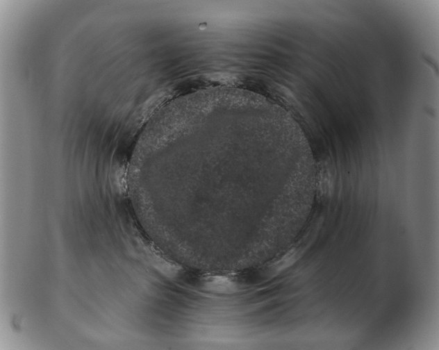 X0000102800285200809081119