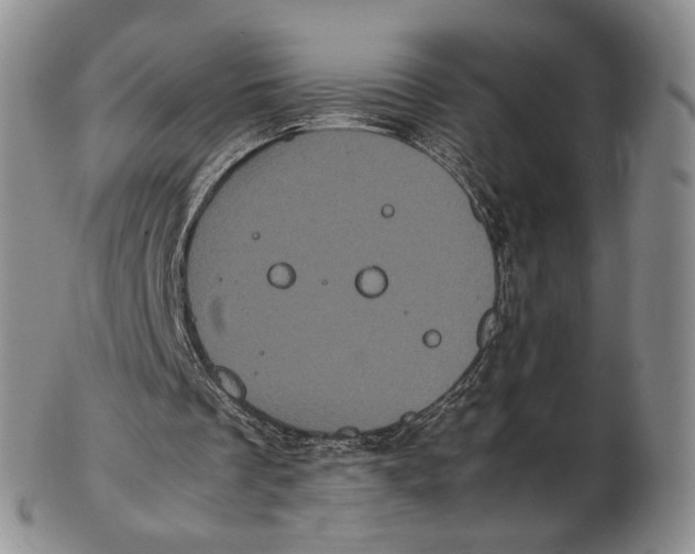 X0000102800289200809081118