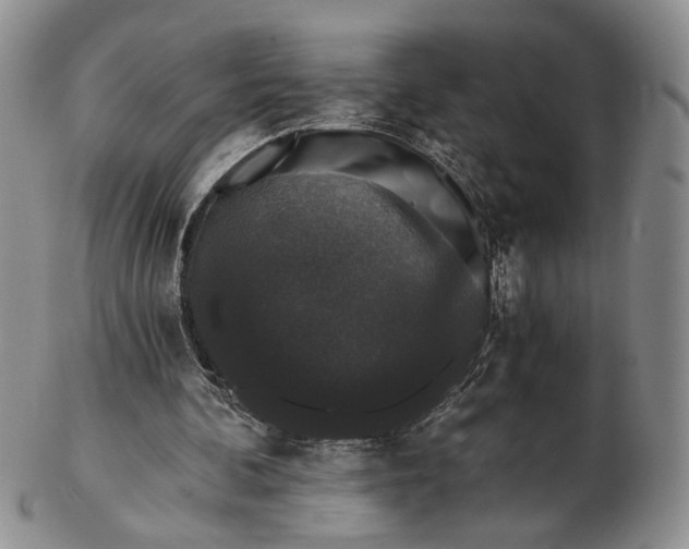 X0000102800292200809081118