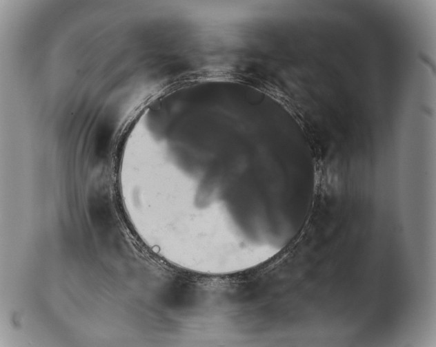 X0000102800293200809081118