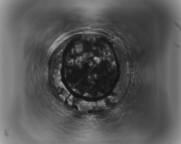 X0000102800295200809081118