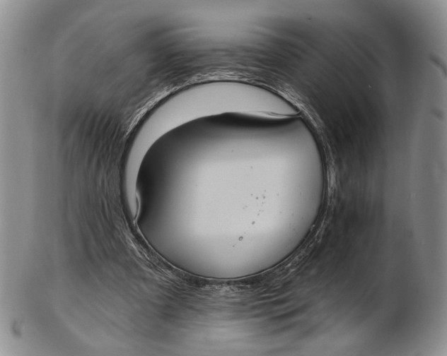 X0000102800297200809081118