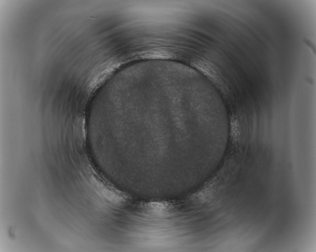 X0000102800302200809081118