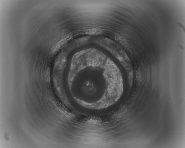 X0000102800303200809081118