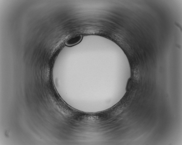 X0000102800304200809081118