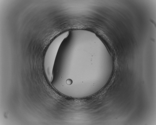 X0000102800305200809081118