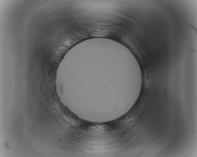 X0000102800307200809081118