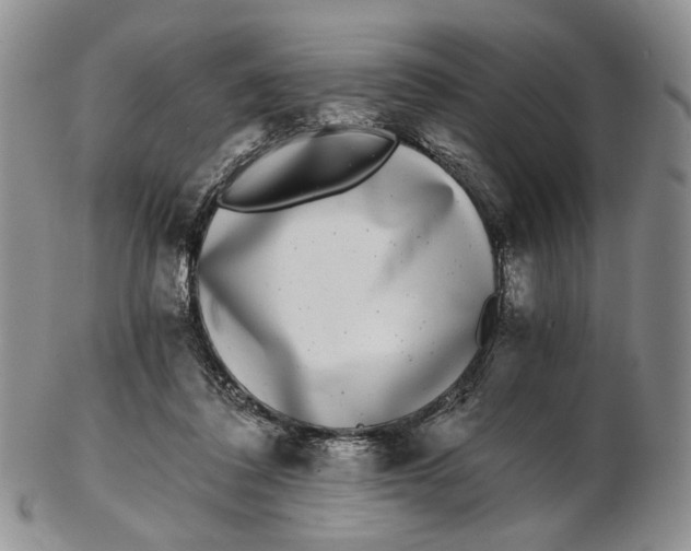 X0000102800308200809081118