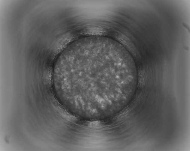 X0000102800309200809081118