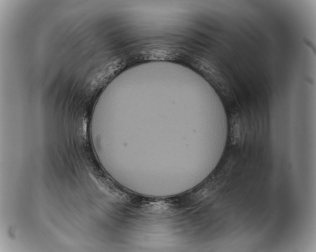 X0000102800310200809081118