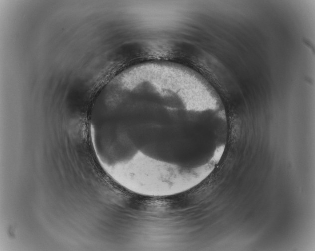 X0000102800313200809081118