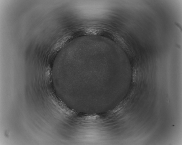 X0000102800314200809081118