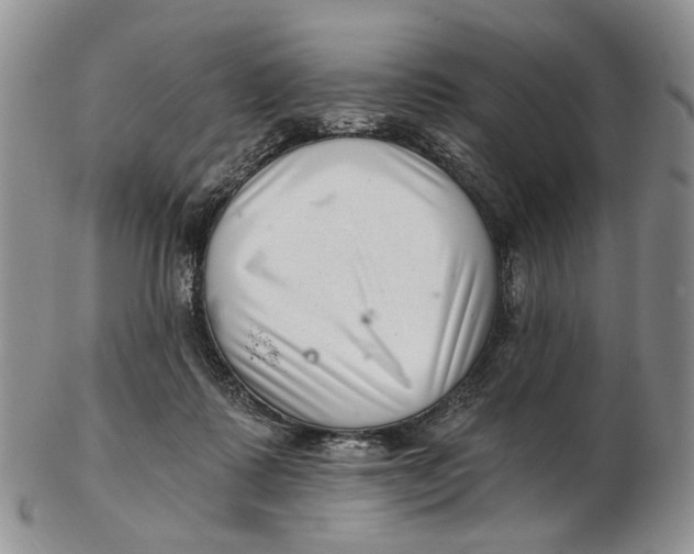 X0000102800315200809081118