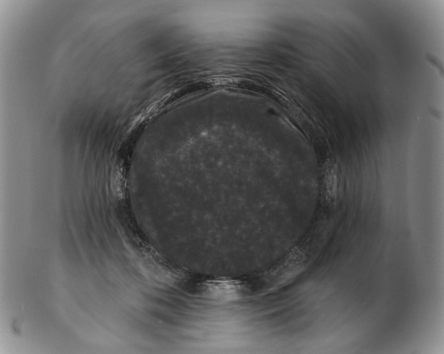 X0000102800316200809081118