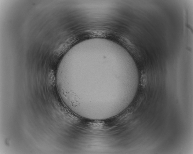 X0000102800318200809081118